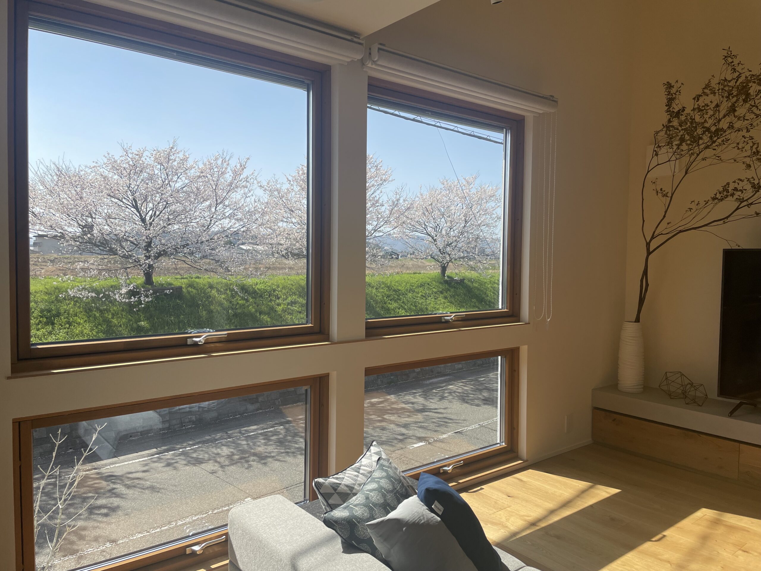 2階リビングの窓から見える桜_斜めの構図